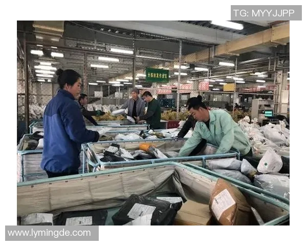 电竞新闻赵军畅谈英雄联盟职业生涯中的挑战与成就分享